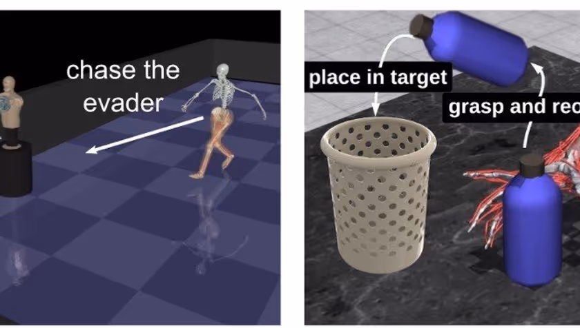 UT researchers seek the digital brain that plays the best game of tag